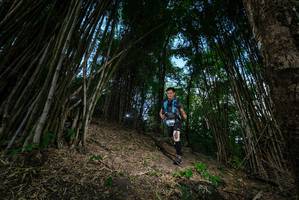 BIB: 
                            <button type="button" onclick="openModal(19395386)" class="btn btn-primary btn-sm float-right btn-popup" data-toggle="modal" data-target=".modal-high-quality">
                        <i class="fas fa-shopping-cart"></i> Add to Cart
                    </button>
                                            <button type="button" onclick="isThisMe(19395386, true)" class="btn btn-success btn-sm float-right btn-popup btn-isme hidden" data-toggle="tooltip" data-placement="bottom" title="นี่คือรูปของคุณใช่ไหม คลิกที่นี่เพื่อเอาเข้าอัลบั้ม">
                        <i class="fas fa-plus"></i> Add to album
                    </button>
                    <button type="button" onclick="isThisMe(19395386, false)" class="btn btn-warning btn-sm float-right btn-popup btn-isnotme hidden">
                        <i class="fas fa-ban"></i> Remove from album
                    </button>